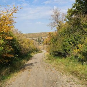 Meet your Posher, Martha